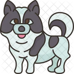 Bang Kaeo Dog  Icon