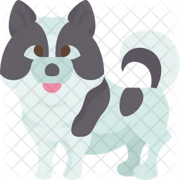 Bang Kaeo Dog  Icon