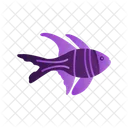 Banggai Cardinal Fish Ocean Icon