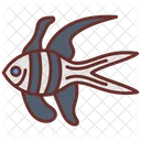Banggai Cardinal Cardinal Fish Fish Icon
