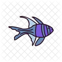 Banggai Cardinal  Icon