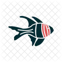 Banggai Cardinal  Icon