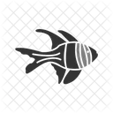 Banggai Cardinal  Icon