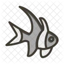 Banggai Cardinalfish  Icon