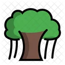Banian Tree Plant Icon