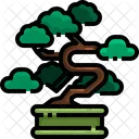 Bansai Tree Bansai Nature Icon