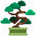 Bansai Tree  Icon