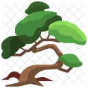 Bansai Tree  Icon