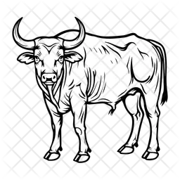 Banteng  Icon