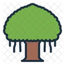 Banyan Tree Botanical Icon