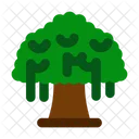 Banyan Tree Icon