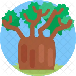 Baobab  Icon