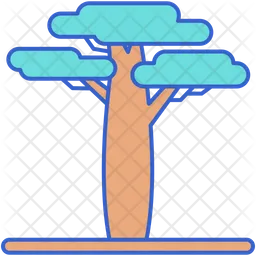 Baobab  Icon