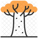 Albero di baobab  Icon