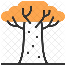 Baobab tree  Icon