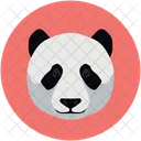 Bar Panda Wild Symbol