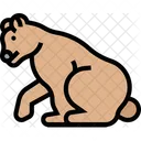 Bar Grizzly Fleischfresser Symbol