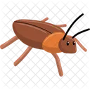 Barata Inseto Marrom Ícone