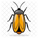 Barata Ícone