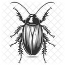 Barata Ícone