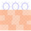 Barbed Wire Razor Icon