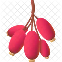 Barberry  Icon