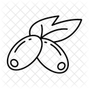 Barberry  Icon
