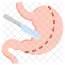 Bariatric Surgery Stomach Gastric Icon