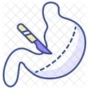 Bariatric surgery  Icon