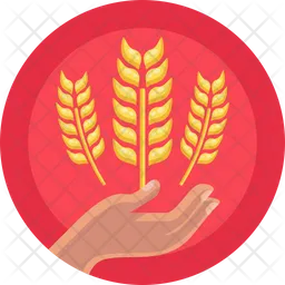 Barley  Icon