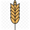 Barley Crop Grain Icon