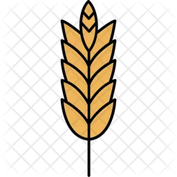 Barley  Icon