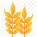 Barley  Icon