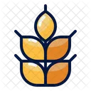 Barley  Icon
