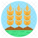Barley Stalks  Icon