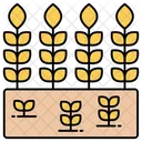 Barley Stalks  Icon