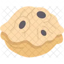 Barnacle Shell Animal Icon