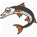 Barracuda Sea Culture Fish Icon
