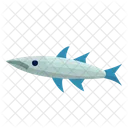 Barracuda Fish Animal Icon