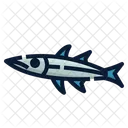 Barracuda Fish  Icon