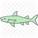 Barracuda Ocean Marine Icon
