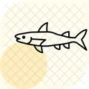 Barracuda Ocean Marine Icon
