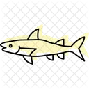 Barracuda Ocean Marine Icon