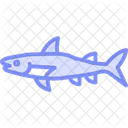 Barracuda Ocean Marine Icon