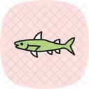 Barracuda Ocean Marine Icon