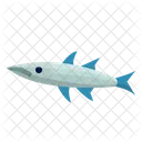Barracuda  Icon
