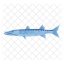 Barrakuda-Fisch  Symbol