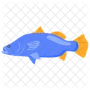 Barramundi  Icon