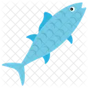 Barramundi  Icon
