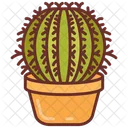 Barrel Cactus Desert Plant Cactus Family Icône